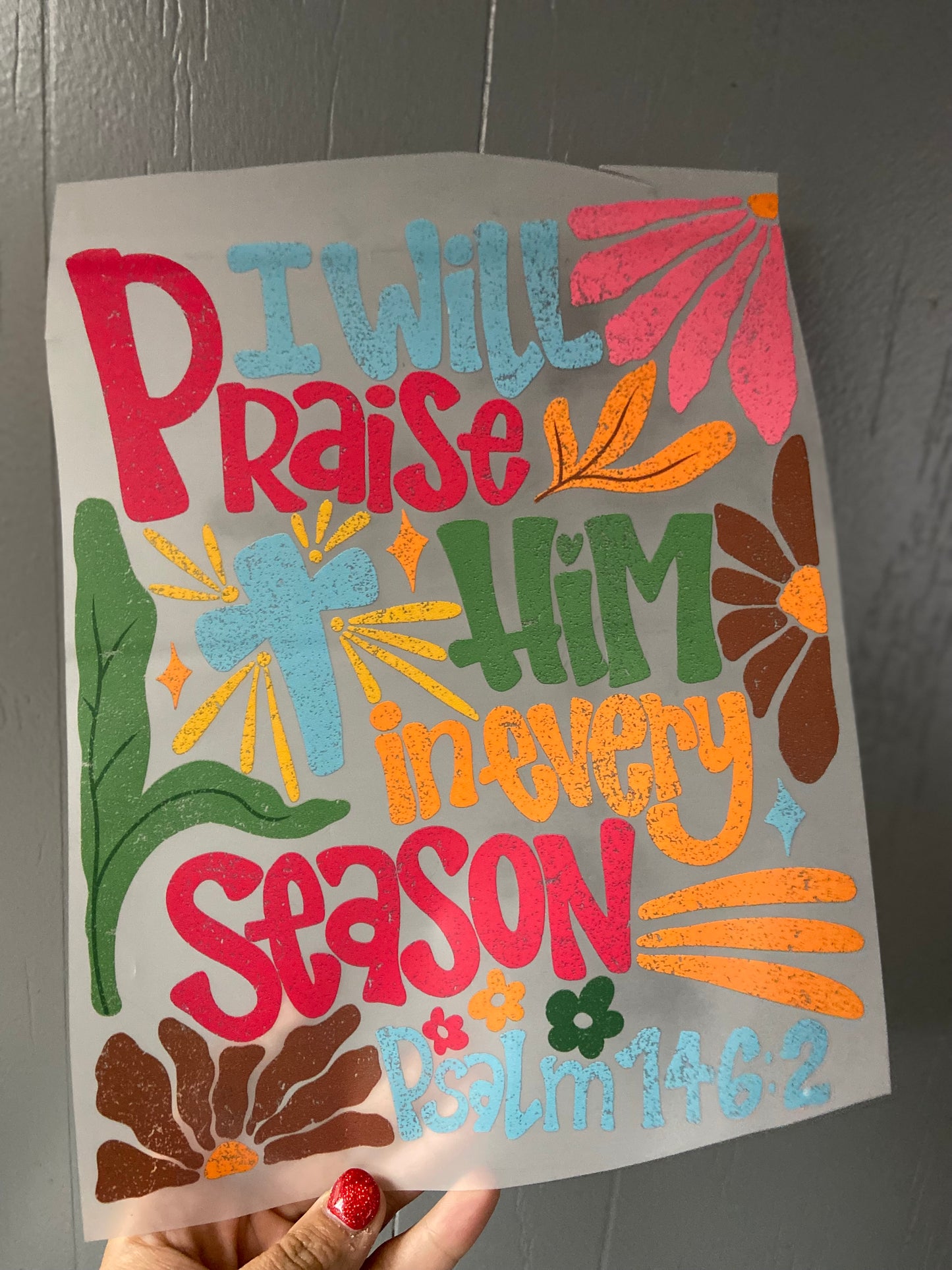 Quick Ship I Will Praise Him T-shirt
